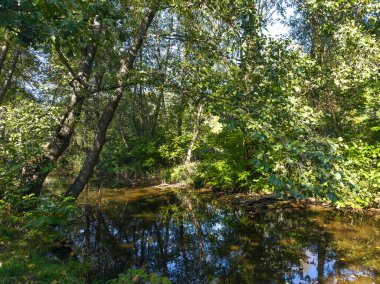 Sonbahar manzara Iskar Nehri yakınındaki Pancharevo Gölü, Sofya şehir bölge, Bulgaristan