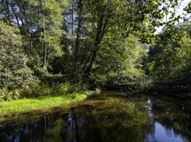 Sonbahar manzara Iskar Nehri yakınındaki Pancharevo Gölü, Sofya şehir bölge, Bulgaristan