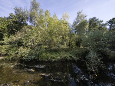 Sonbahar manzara Iskar Nehri yakınındaki Pancharevo Gölü, Sofya şehir bölge, Bulgaristan