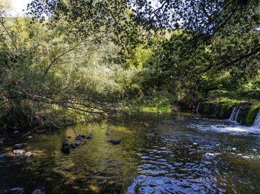 Sonbahar manzara Iskar Nehri yakınındaki Pancharevo Gölü, Sofya şehir bölge, Bulgaristan