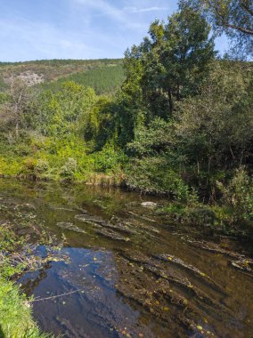 Sonbahar manzara Iskar Nehri yakınındaki Pancharevo Gölü, Sofya şehir bölge, Bulgaristan