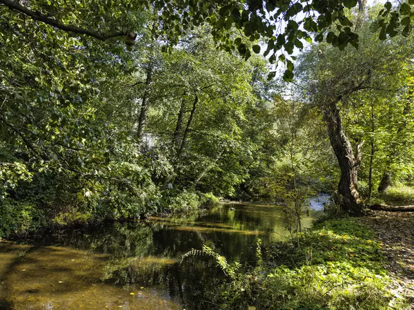 Sonbahar manzara Iskar Nehri yakınındaki Pancharevo Gölü, Sofya şehir bölge, Bulgaristan