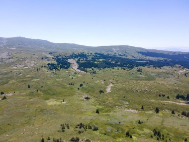 Amazing Aerial view of Vitosha Mountain near Kamen Del Peak, Bulgaria clipart