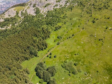 Amazing Aerial view of Vitosha Mountain near Kamen Del Peak, Bulgaria