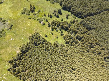 Amazing Aerial view of Vitosha Mountain near Kamen Del Peak, Bulgaria