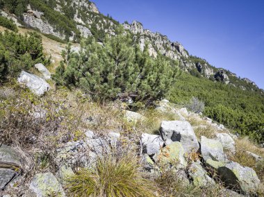 Amazing Autumn Landscape of Rila Mountain near Malyovitsa peak, Bulgaria