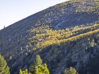 Amazing Autumn Landscape of Rila Mountain near Malyovitsa peak, Bulgaria