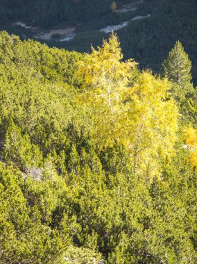 Amazing Autumn Landscape of Rila Mountain near Malyovitsa peak, Bulgaria