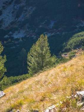 Amazing Autumn Landscape of Rila Mountain near Malyovitsa peak, Bulgaria