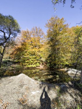 Bulgaristan 'ın Zlatnite Mostove bölgesi yakınlarındaki Vitosha Dağı' nın şaşırtıcı sonbahar manzarası