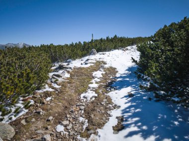 Amazing Autumn landscape of Rila Mountain near Mechit and Popova Kapa peaks, Bulgaria clipart