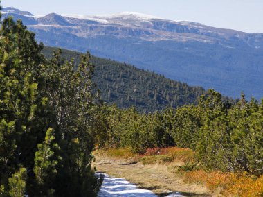 Rila Dağı 'nın Mechit yakınlarındaki muhteşem sonbahar manzarası ve Popova Kapa zirveleri, Bulgaristan