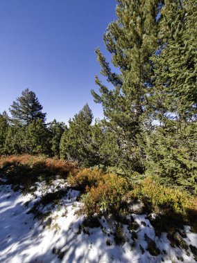 Rila Dağı 'nın Mechit yakınlarındaki muhteşem sonbahar manzarası ve Popova Kapa zirveleri, Bulgaristan