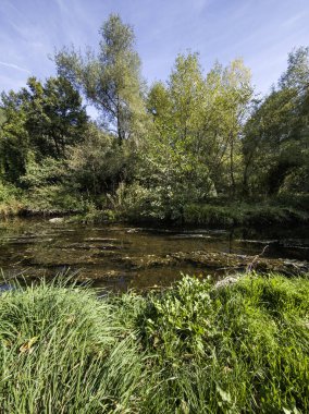 Pancharevo gölünün sonbahar manzarası, Sofya şehir bölgesi, Bulgaristan