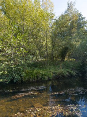 Pancharevo gölünün sonbahar manzarası, Sofya şehir bölgesi, Bulgaristan