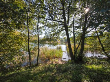 Pancharevo gölünün sonbahar manzarası, Sofya şehir bölgesi, Bulgaristan