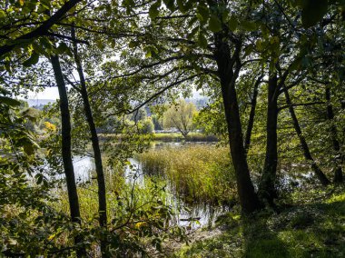 Pancharevo gölünün sonbahar manzarası, Sofya şehir bölgesi, Bulgaristan