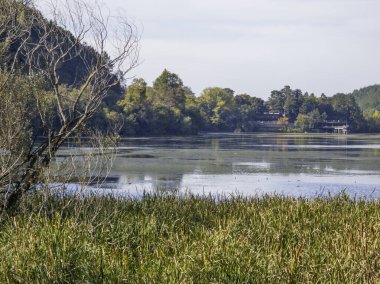 Pancharevo gölünün sonbahar manzarası, Sofya şehir bölgesi, Bulgaristan