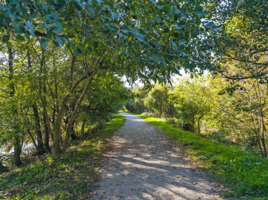 Pancharevo gölünün sonbahar manzarası, Sofya şehir bölgesi, Bulgaristan