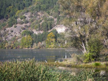 Pancharevo gölünün sonbahar manzarası, Sofya şehir bölgesi, Bulgaristan