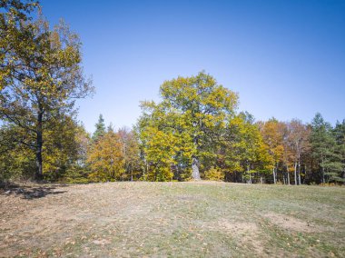 Plana Dağı 'nın şaşırtıcı sonbahar manzarası, Sofya bölgesi, Bulgaristan