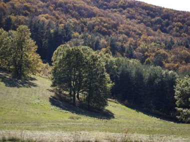 Plana Dağı 'nın şaşırtıcı sonbahar manzarası, Sofya bölgesi, Bulgaristan