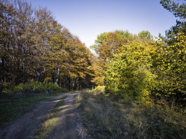 Plana Dağı 'nın şaşırtıcı sonbahar manzarası, Sofya bölgesi, Bulgaristan