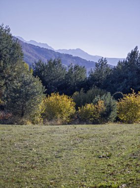 Plana Dağı 'nın şaşırtıcı sonbahar manzarası, Sofya bölgesi, Bulgaristan