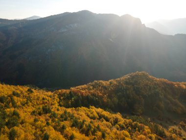 Bulgaristan 'ın Filibe Bölgesi Borovo kasabası yakınlarındaki Rodop dağının şaşırtıcı sonbahar manzarası