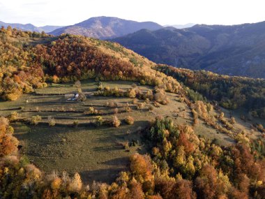 Bulgaristan 'ın Filibe Bölgesi Borovo kasabası yakınlarındaki Rodop dağının şaşırtıcı sonbahar manzarası