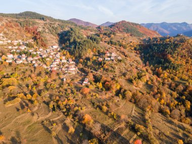 Bulgaristan 'ın Filibe Bölgesi Borovo kasabası yakınlarındaki Rodop dağının şaşırtıcı sonbahar manzarası