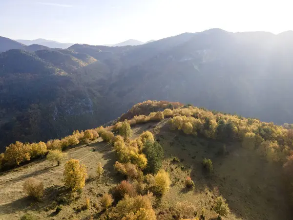 Bulgaristan 'ın Filibe Bölgesi Borovo kasabası yakınlarındaki Rodop dağının şaşırtıcı sonbahar manzarası