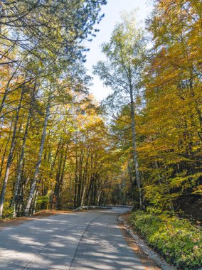 Bulgaristan 'ın Vitosha Dağı' nın şaşırtıcı sonbahar manzarası