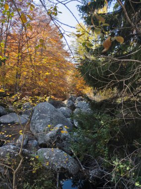 Bulgaristan 'ın Vitosha Dağı' nın şaşırtıcı sonbahar manzarası