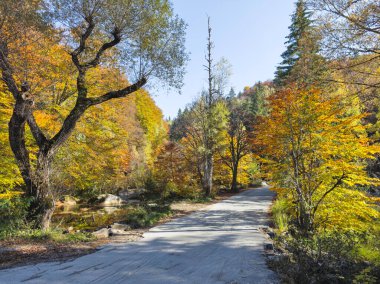 Amazing Autumn panorama of Vitosha Mountain, Bulgaria clipart