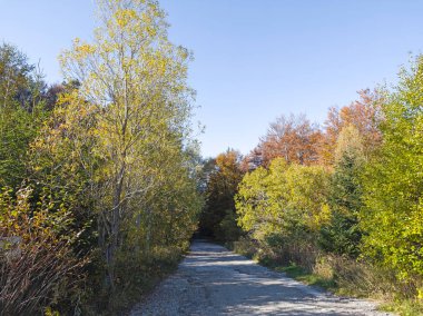 Bulgaristan 'ın Vitosha Dağı' nın şaşırtıcı sonbahar manzarası