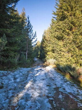 Rila Dağı 'nın Mechit yakınlarındaki muhteşem sonbahar manzarası ve Popova Kapa zirveleri, Bulgaristan