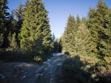 Rila Dağı 'nın Mechit yakınlarındaki muhteşem sonbahar manzarası ve Popova Kapa zirveleri, Bulgaristan