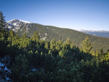 Rila Dağı 'nın Mechit yakınlarındaki muhteşem sonbahar manzarası ve Popova Kapa zirveleri, Bulgaristan
