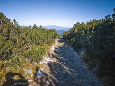 Amazing Autumn landscape of Rila Mountain near Mechit and Popova Kapa peaks, Bulgaria clipart