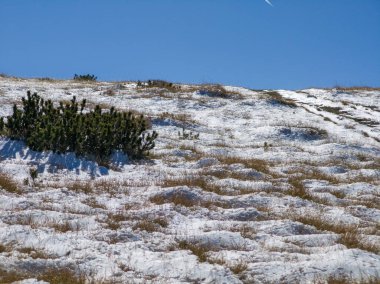 Amazing Autumn landscape of Rila Mountain near Mechit and Popova Kapa peaks, Bulgaria clipart