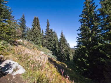 Bulgaristan 'ın Vitosha Dağı' nın şaşırtıcı sonbahar manzarası