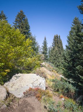 Bulgaristan 'ın Vitosha Dağı' nın şaşırtıcı sonbahar manzarası
