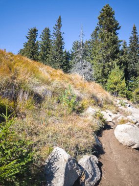 Bulgaristan 'ın Vitosha Dağı' nın şaşırtıcı sonbahar manzarası