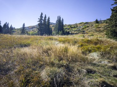 Bulgaristan 'ın Vitosha Dağı' nın şaşırtıcı sonbahar manzarası