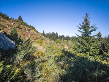 Bulgaristan 'ın Vitosha Dağı' nın şaşırtıcı sonbahar manzarası