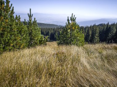 Bulgaristan 'ın Vitosha Dağı' nın şaşırtıcı sonbahar manzarası