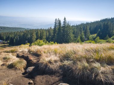 Bulgaristan 'ın Vitosha Dağı' nın şaşırtıcı sonbahar manzarası