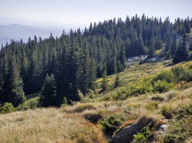 Bulgaristan 'ın Vitosha Dağı' nın şaşırtıcı sonbahar manzarası