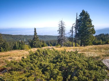 Bulgaristan 'ın Vitosha Dağı' nın şaşırtıcı sonbahar manzarası